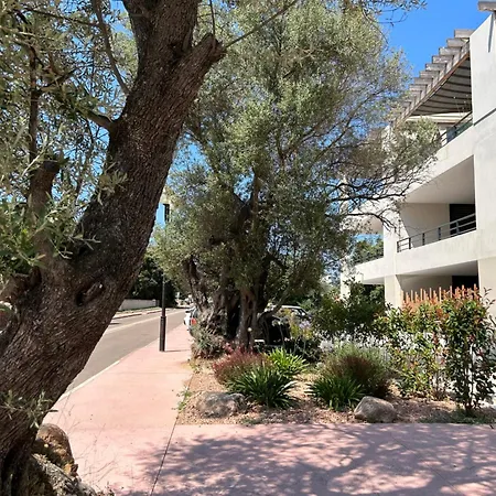 Sognu Di Serena - Superbe Avec Parking Gratuit Sur Place Lejlighed