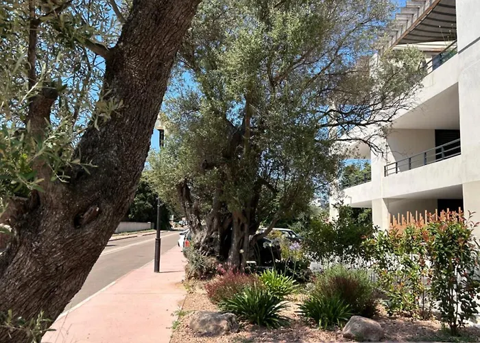 Sognu Di Serena - Superbe Avec Parking Gratuit Sur Place Daire